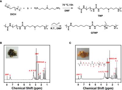 QTMP, a Novel <mark class="highlighted">Thiourea</mark> Polymer, Causes DNA Damage to Exert Anticancer Activity and Overcome Multidrug Resistance in Colorectal Cancer Cells